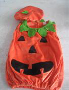 Pumpkin.png