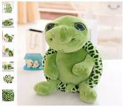 Turtle_1.png