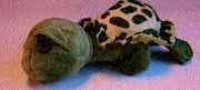 Turtle_2.png